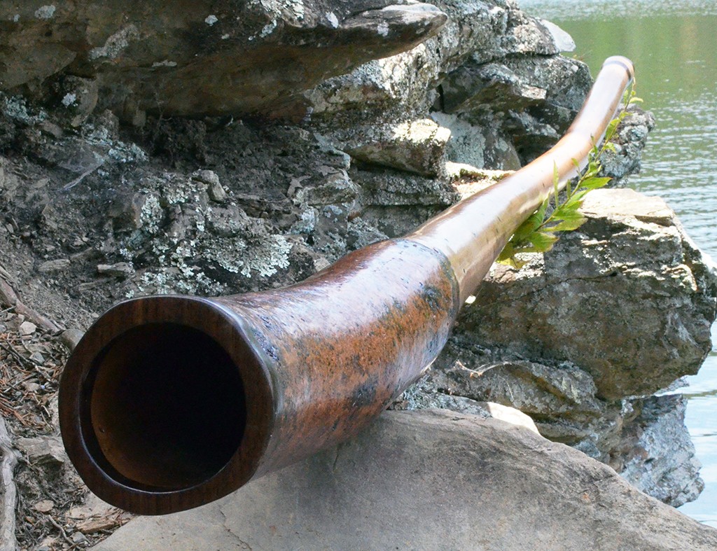 Didgeridoo by William MacGavin