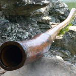 Didgeridoo by William McGavin