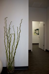 Anna Katherine Phipps' paintings installed in a Tupelo, MS, spa.