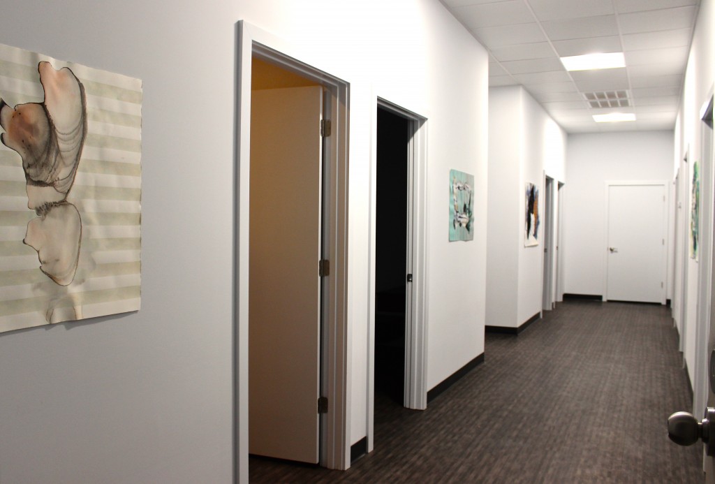 Anna Katherine Phipps' paintings installed in a Tupelo, MS, spa.