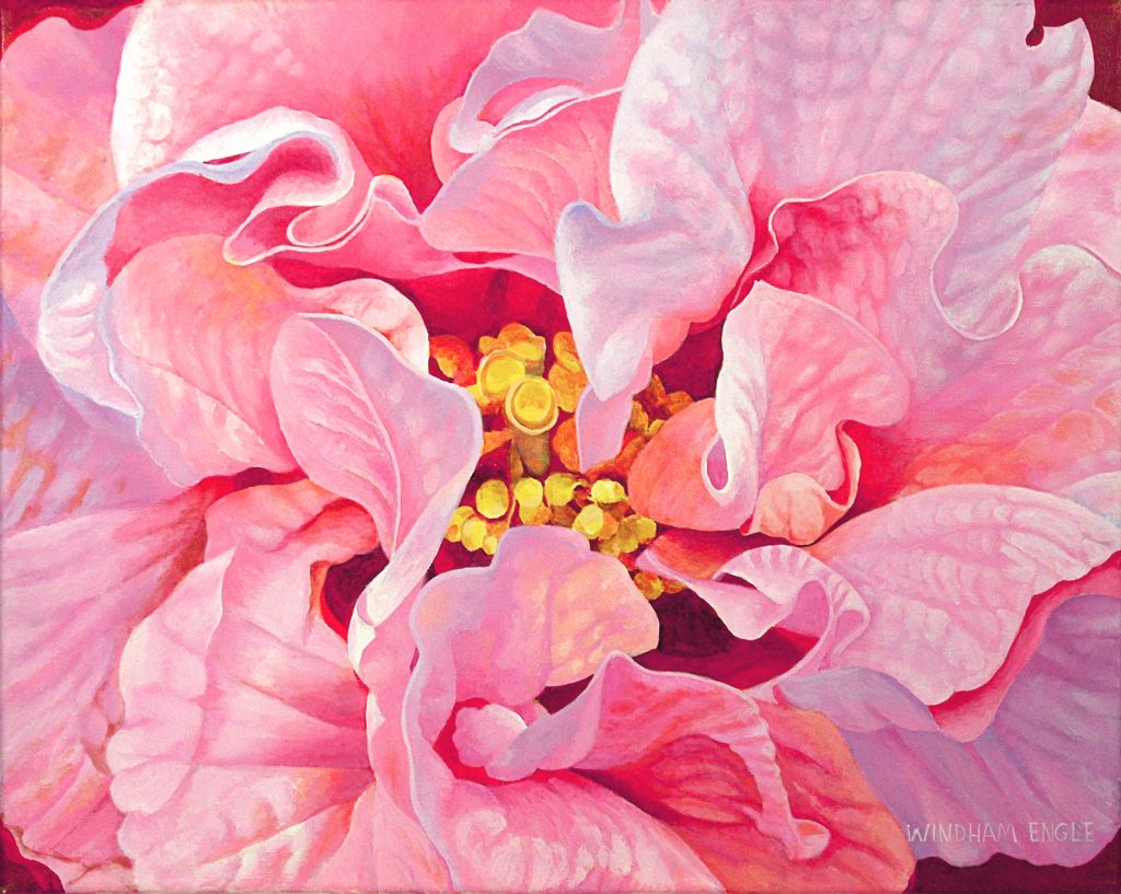 Confederate Rose Blossom, a painting by Bethany Engle
