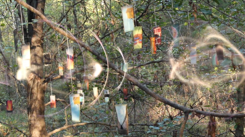 illusive flashing objects hang from trees in a wood.