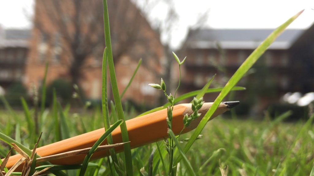 close up of a pencil in the grass