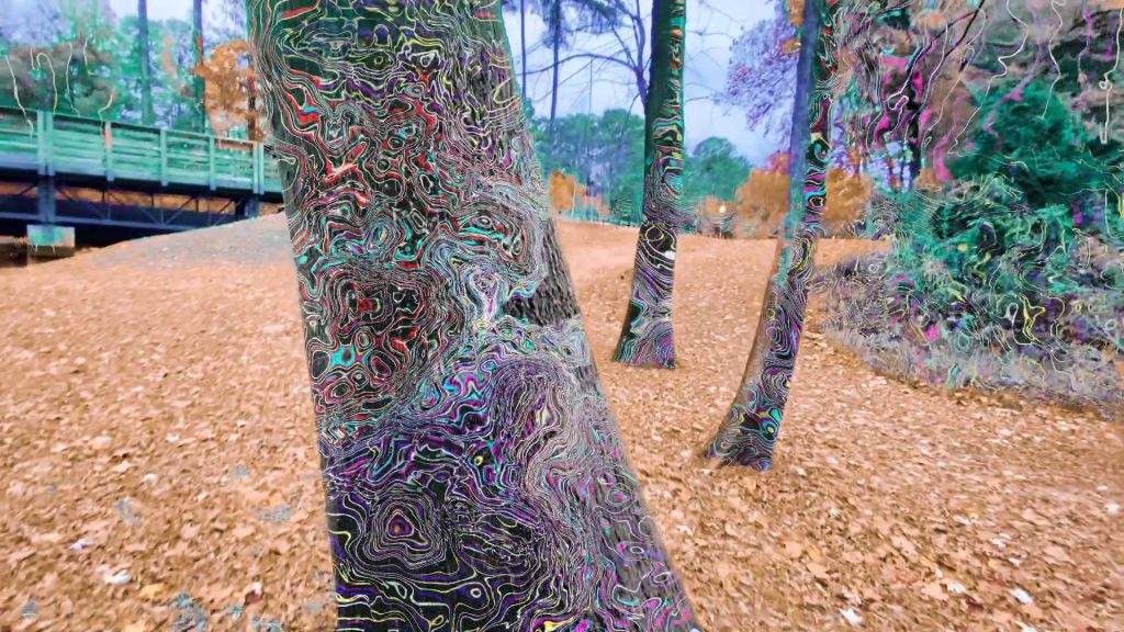 tree trunks in a park covered in psychedelic patterns